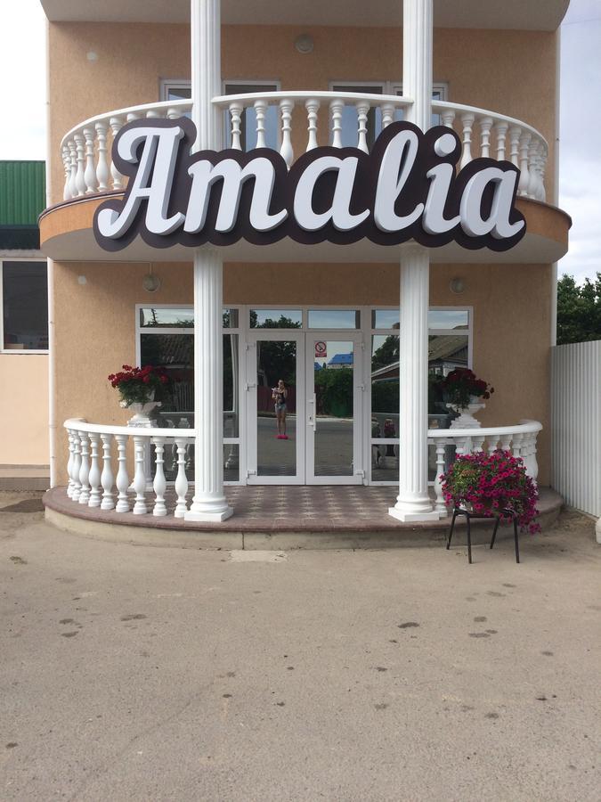 נמל זליזני Amalia Hotel מראה חיצוני תמונה