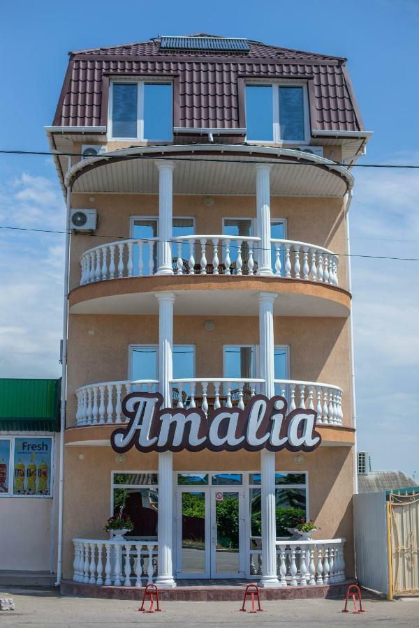 נמל זליזני Amalia Hotel מראה חיצוני תמונה
